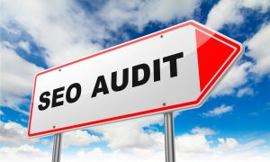 Seo Audits Case Studies